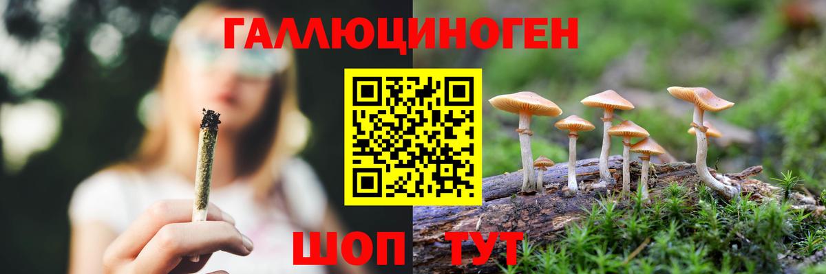 Псилоцибиновые грибы MAGIC MUSHROOMS  Вход с VPN  Якутск 
